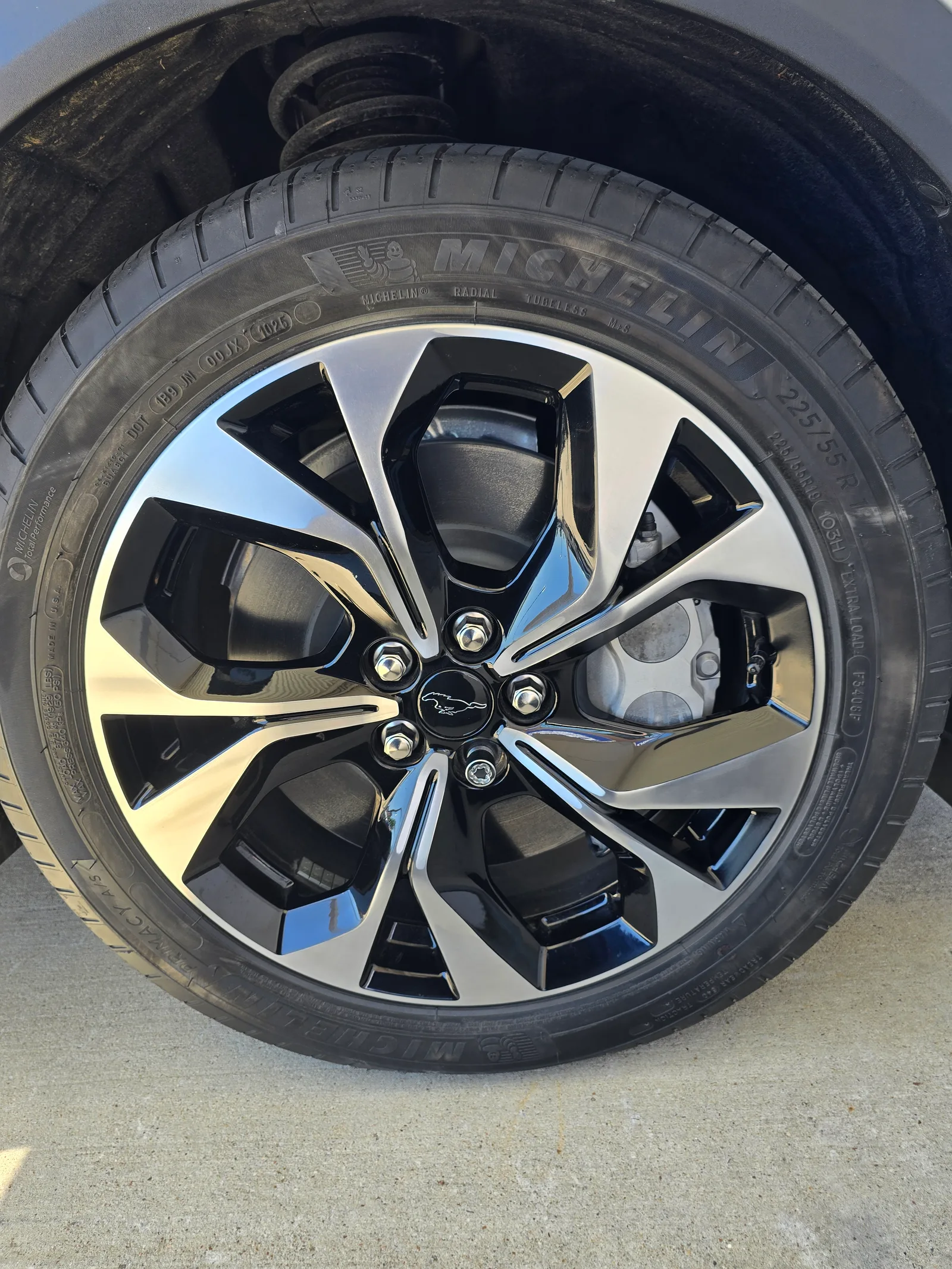 Mustang — black & machined.